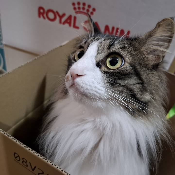 Da67dedd 106f 4304 956d 629cd41a7ec3 1749890054665