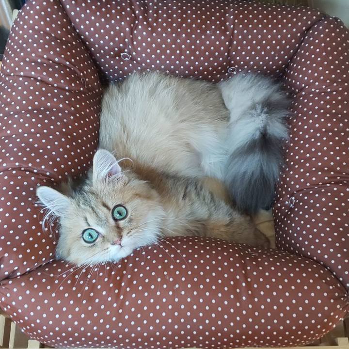 Da67f3b8 95a8 4c7b 8f9a 736891259f81 1557706931211