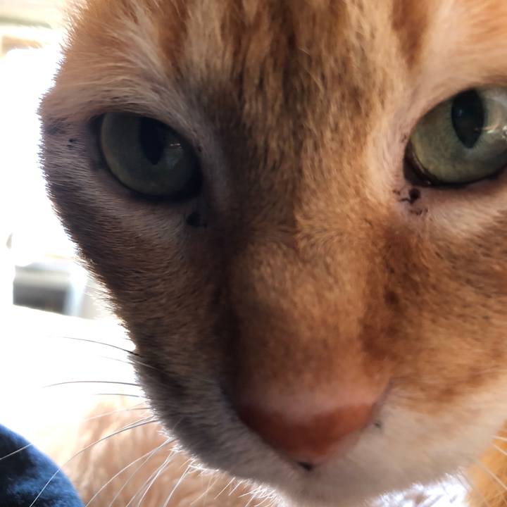 Da681fe0 4454 4d38 b427 ea345ff3d61f 1715373876066