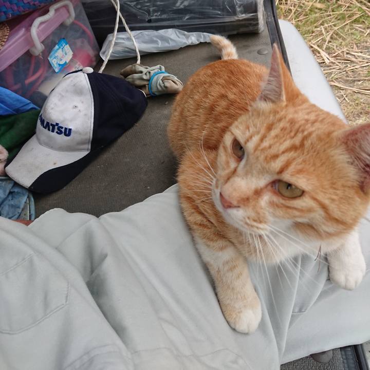 Da68347e 5a51 4b67 8e93 f6c3be69374b 1591002102243