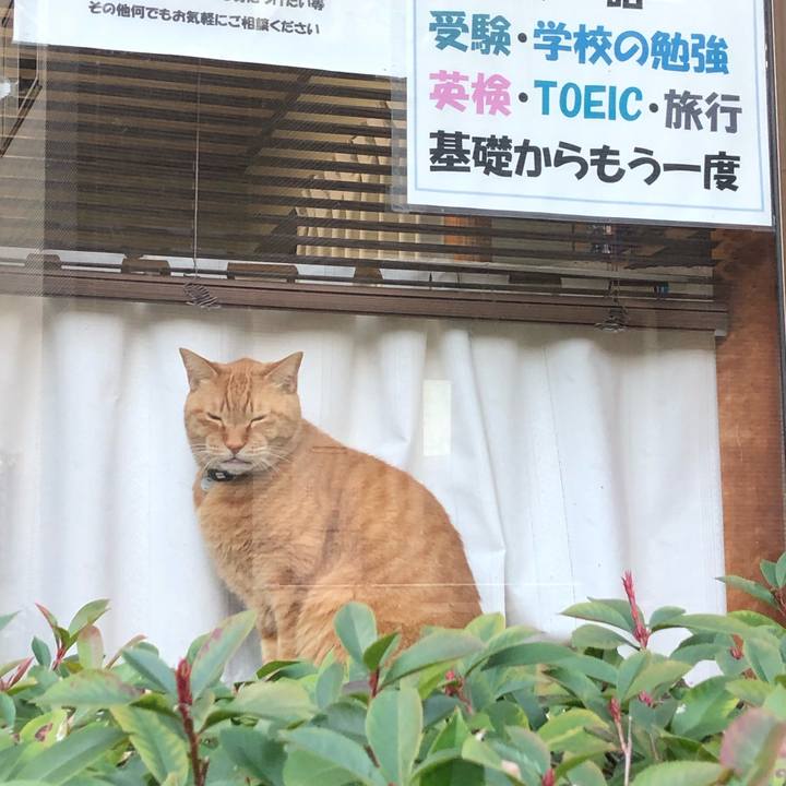 Da684358 4189 44e7 a2d4 ded93e93caeb 1643872554174