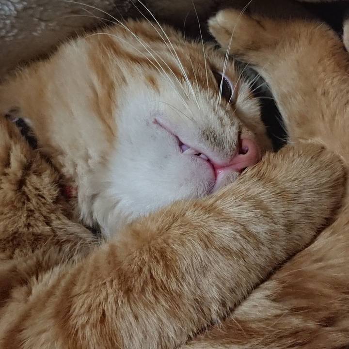 Da68443e b7d5 41c6 9399 c48818ec43f7 1639228167269