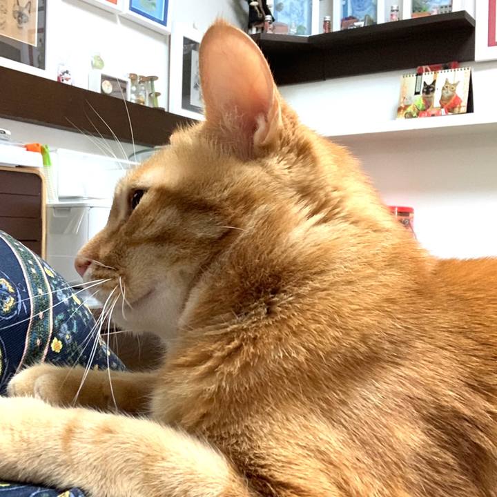 Da684574 56f5 4b93 9d53 f77f171d7881 1562619666700