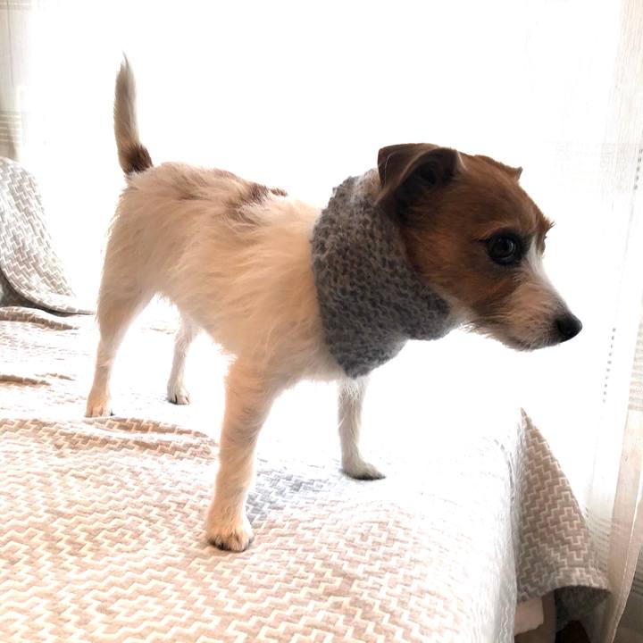 Da688189 78c0 4f25 adbf 16bf9ad2d9d7 1639226059886