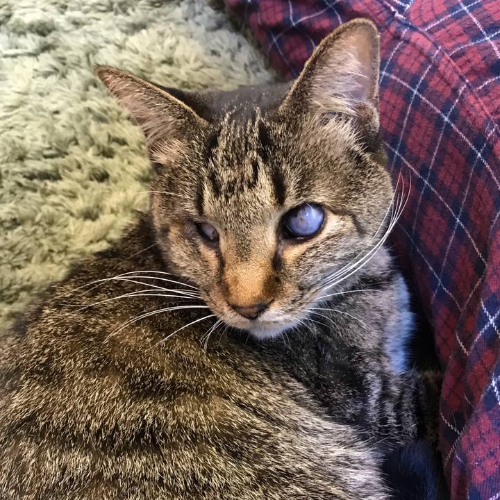 Da68953d aca8 4d90 9d3a 46136dfa563a 1549854588686