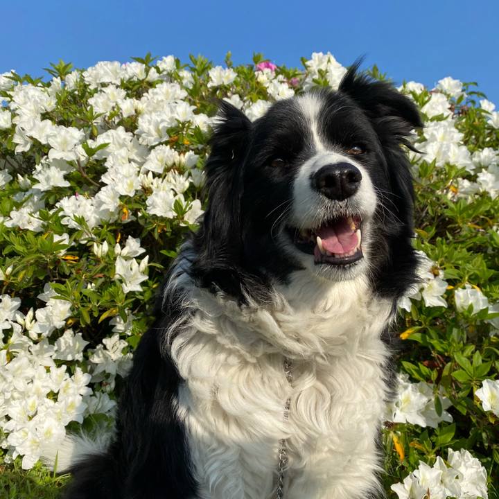 Da68d0cc 9d3f 4617 99dc b327364ff307 1650413436786