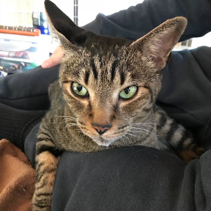 Da68d602 b752 449e a929 28e79efe4690 1510536371584