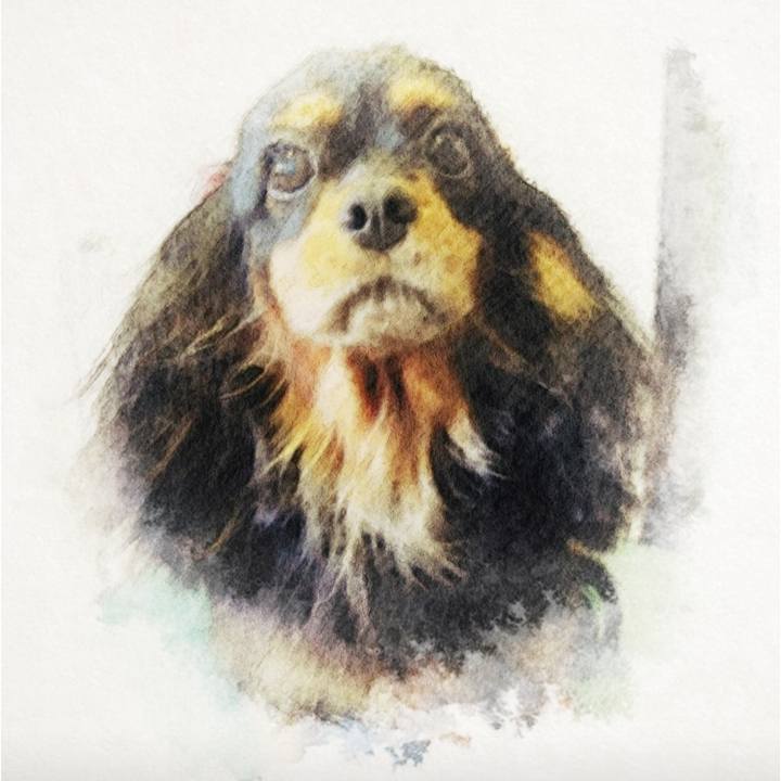 Da68e77c 4c27 450c b1e4 76ae71c07d11 1541592286284