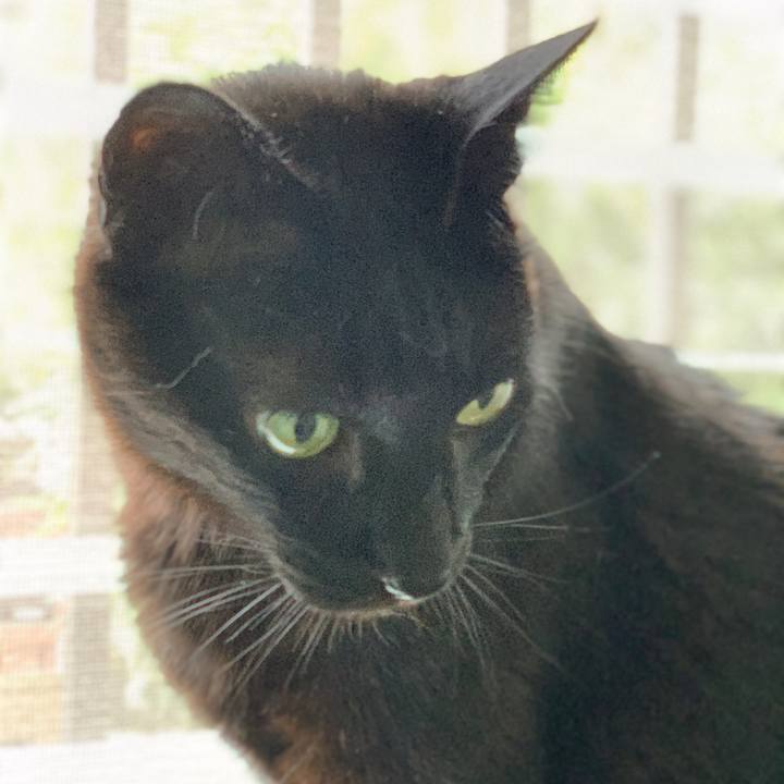 Da6912fa dfa9 496c 88ad 1d58cc494cf1 1595120375399