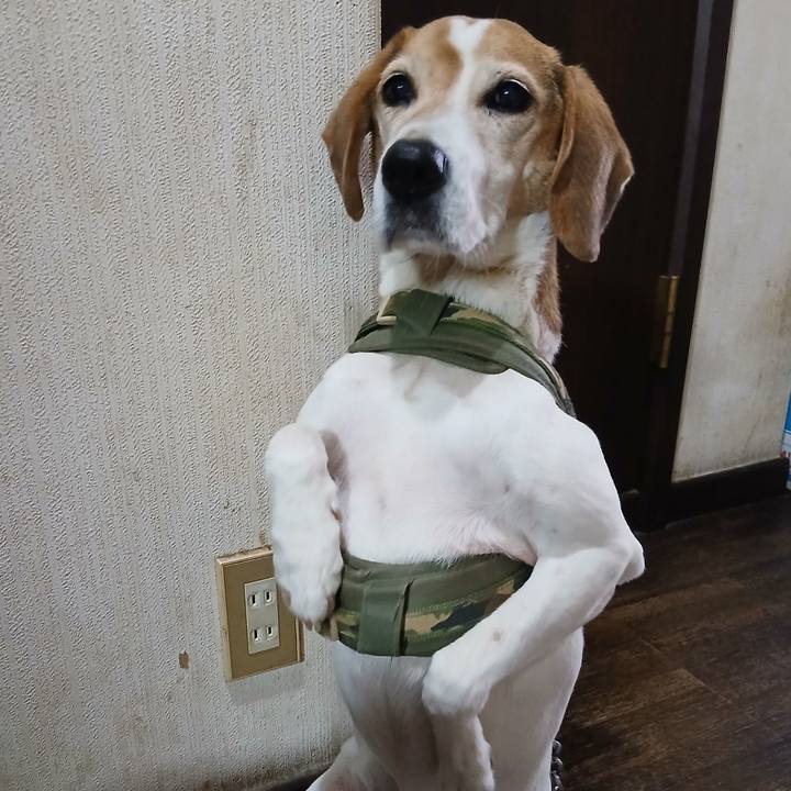 Da694a94 6615 4996 9822 e2ad2f9266a9 1769586736275