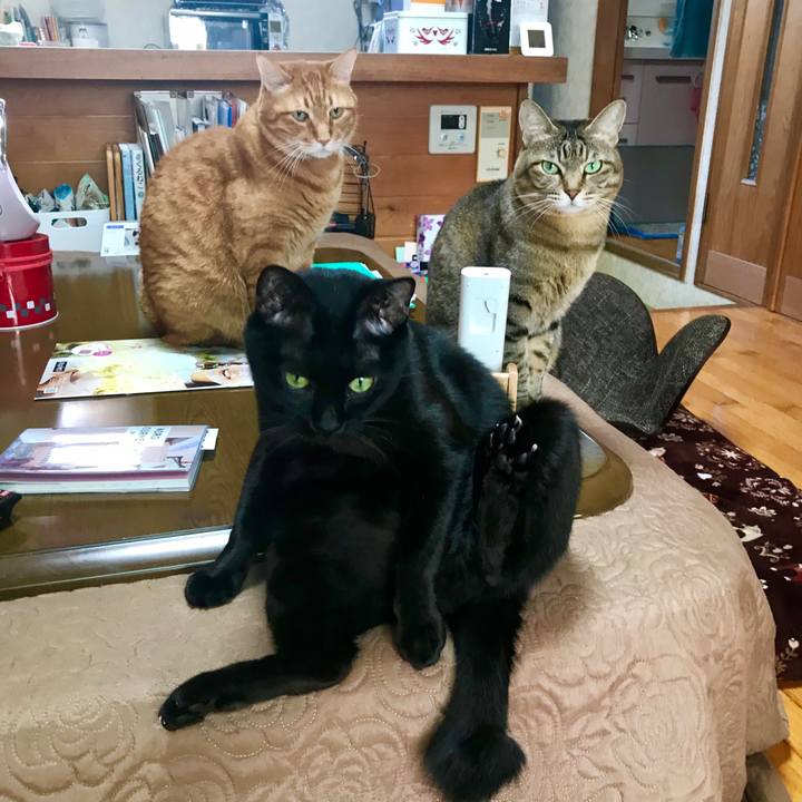 Da695192 726e 47b5 9ade e97e455f1d55 1550558683790