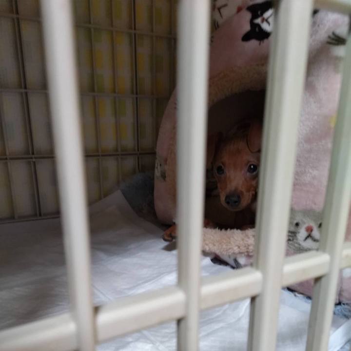 Da695233 569f 4eca b39a 8d326a81a706 1667691443345