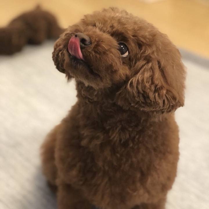 Da697f29 c1be 4361 885b 2fbb21d9effe 1531178155299