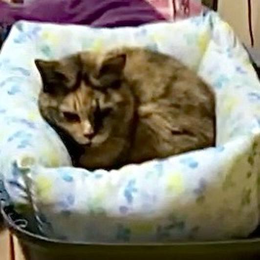 Da69ae3c 655a 419a 8fb9 0c6a7cb5e84e 1735802259312