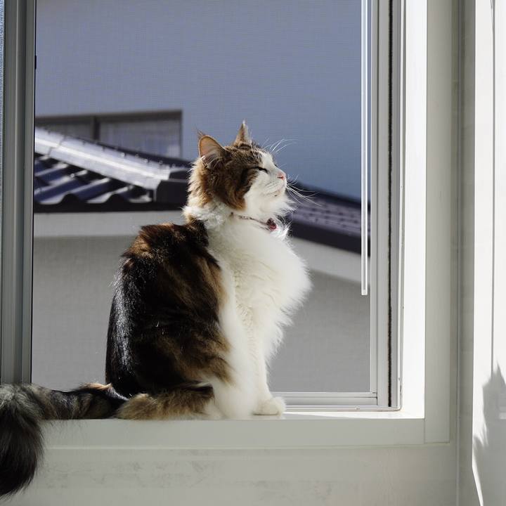 Da69c06c c960 4d8a 90ce 3d062d999147 1613441035295