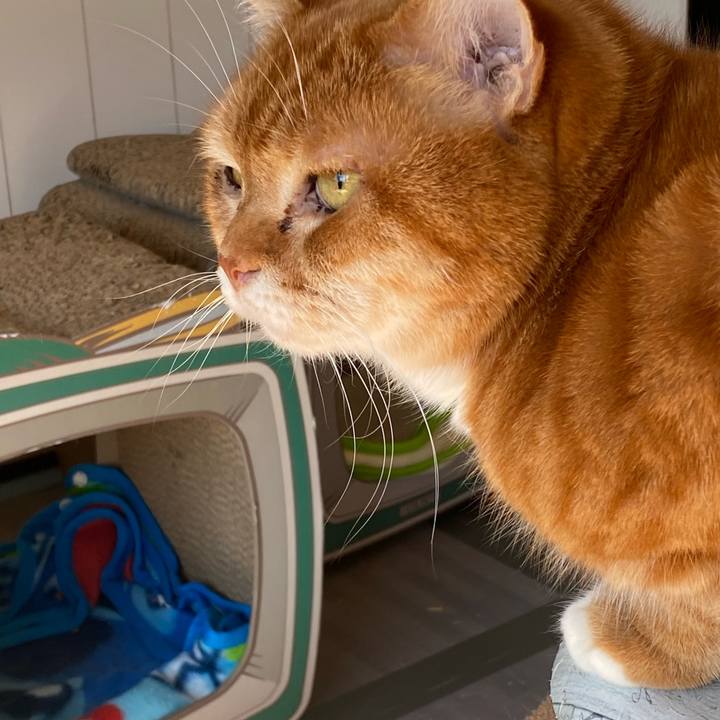 Da69d112 c3c5 4035 b964 d72bfbbf8012 1644200312814