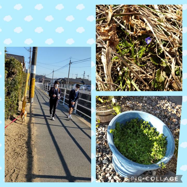 Da69e805 b4fe 49e0 a8ad c8f7283de8d1 1740469632615