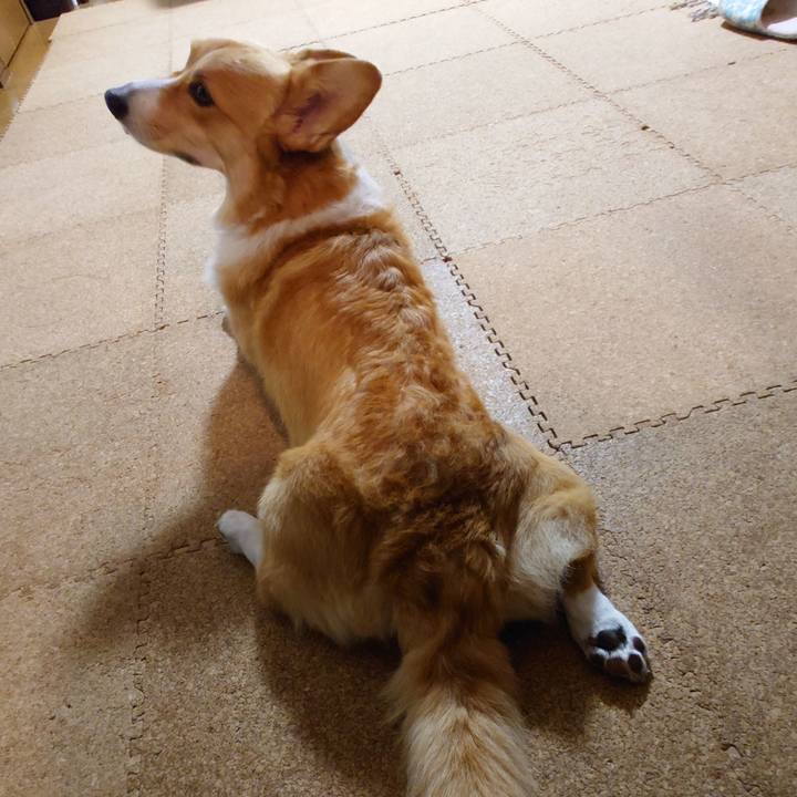 Da69f768 946d 408f 823b ddd5e1f7dc77 1763385753823