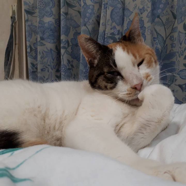 Da6a1c1d c004 4ea8 b195 9f523580b268 1553580785336