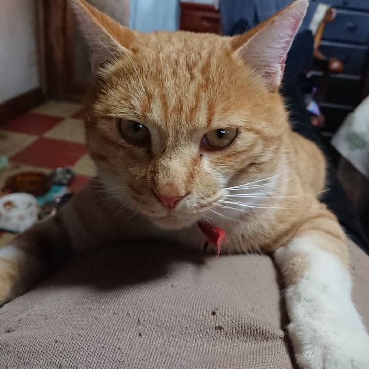 Da6a2eac 6df5 4a7c 8cc7 78454a1914ad 1573964110838