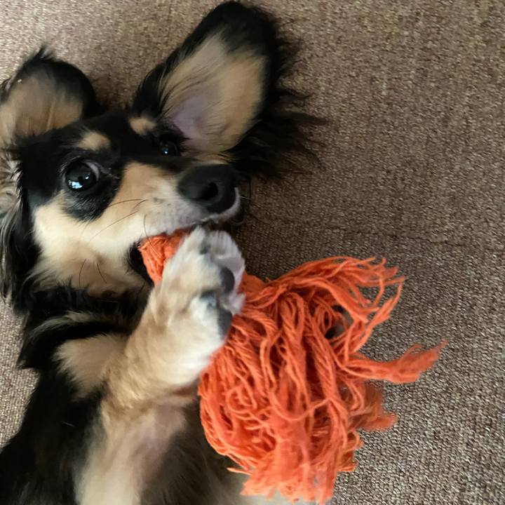 Da6a3877 b615 407c b554 53252c7a2ae4 1691276264636