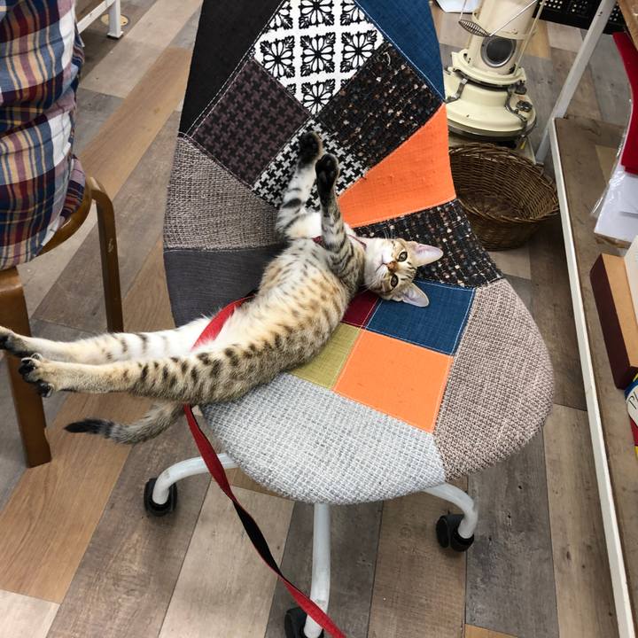 Da6a3f41 7317 4df5 811d 0fb1f22a1ba0 1579651784633