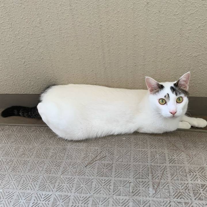 Da6a77a3 f9ac 499b b9ee 4a151bddbfcc 1691194800571