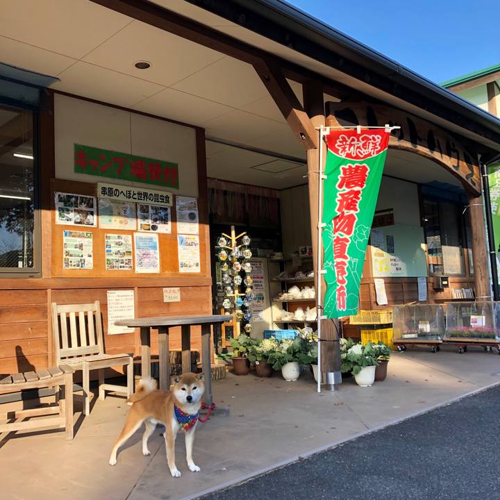 Da6abb62 744d 499f 849d 196f7e2d8689 1544863408191