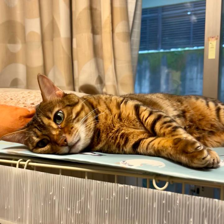 Da6aef80 8f3f 42f0 a772 d341c596df63 1658029174111