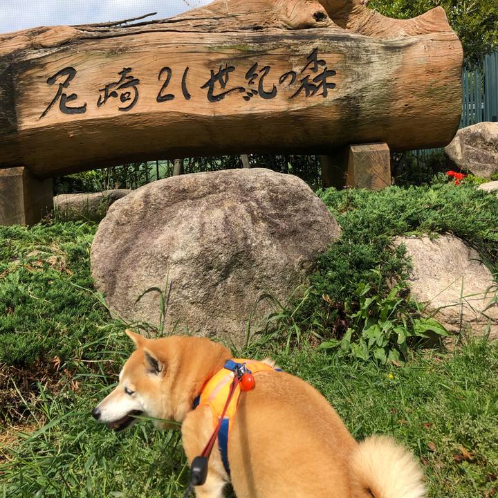 Da6b0fab 05b2 4999 a6e0 f8a9615663d5 1556802851742