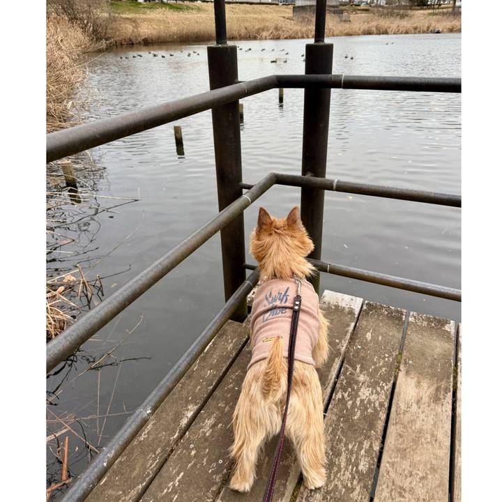 Da6b5385 a1e4 43c8 9593 0eafb1559f7a 1768114504300