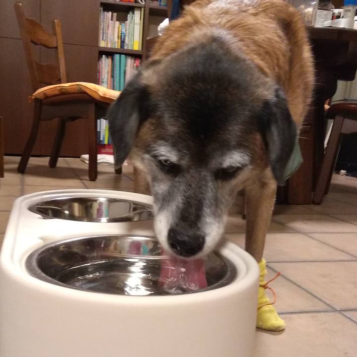 Da6b7d99 1ccb 4dcf ac7b b5af5dd8a380 1547118131435