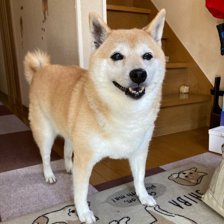 Da6b95f8 0fc2 4785 b7b8 975c01589849 1633169564503