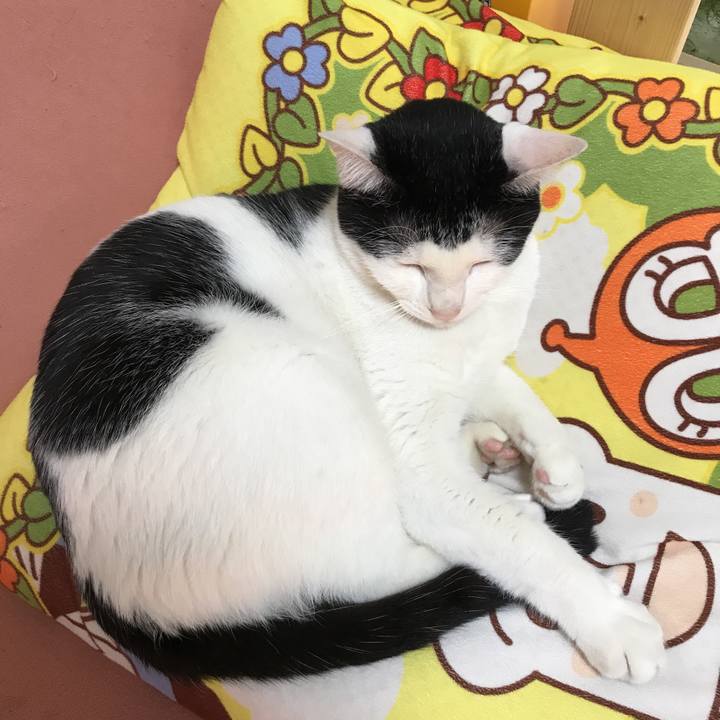 Da6bcb7e c1ff 4637 8b76 7b85b74208b4 1522892670366