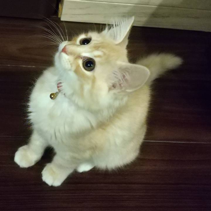 Da6beb30 7bd8 461e 9ad9 dc4fa0281f83 1606475859336