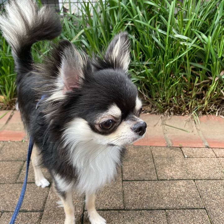 Da6bef8f 1368 4e8a af74 1e2de13a1e17 1624164004299