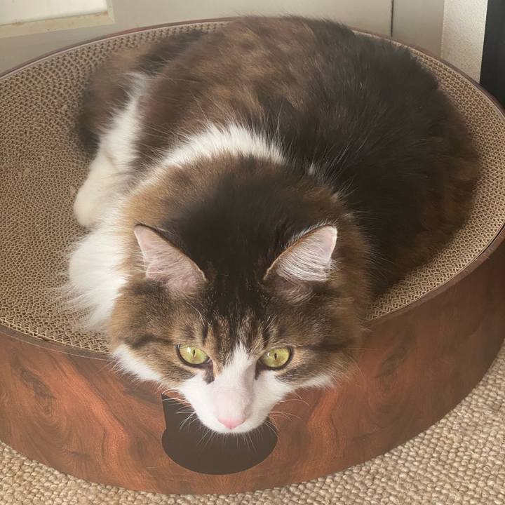 Da6c507a 2dbe 4e7d b0d1 b5923fb9bd13 1733798937187