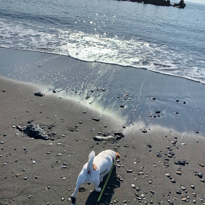 Da6c6c3d c334 4ed0 ba45 5f21d15a8232 1578106743275