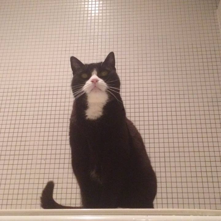 Da6c7ad2 ee90 4466 8810 d5f7daa437e6 1587478519722