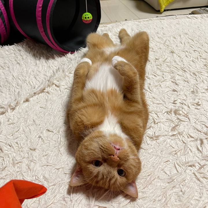 Da6c96eb f029 441f 85a3 ecdd437976ce 1654258997243