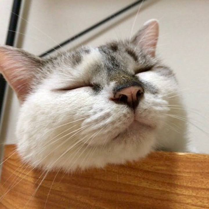 Da6c99f7 c406 4f7e a64e 363d25274449 1536664289486