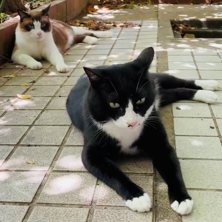 Da6cafba f8d7 4120 8293 4946511f5f62 1753583278205