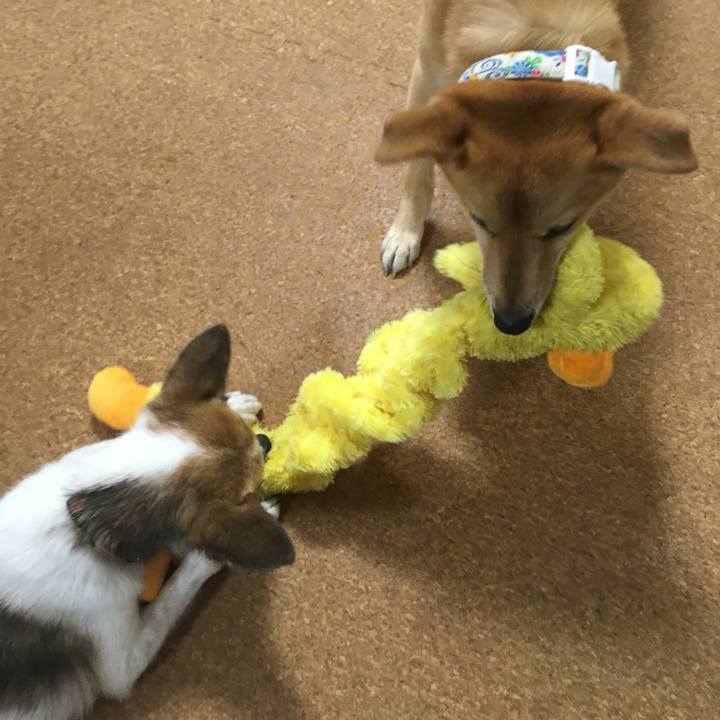 Da6ce8aa 54c7 4627 85de 6a80f9a26fab 1564590064828