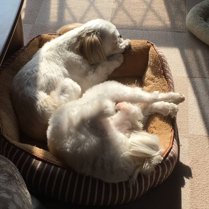 Da6d0361 e5fa 4406 82ce 6641ba2d5980 1516502715482