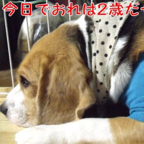 Da6d12bc ee6c 4cee 8541 ca5540eb69f1 1727991584298