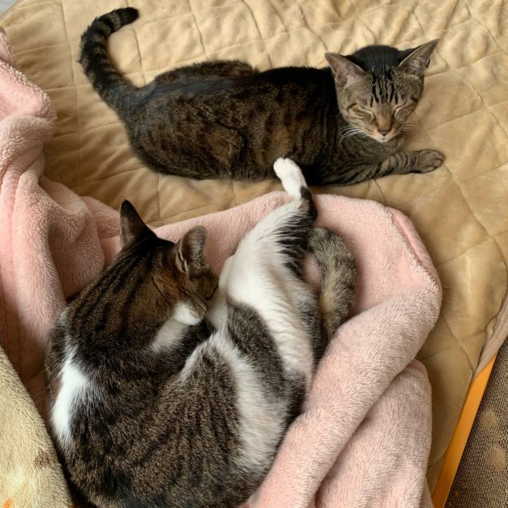 Da6d17b1 203f 4f06 8b2b 65bc617a6a0c 1585531710065