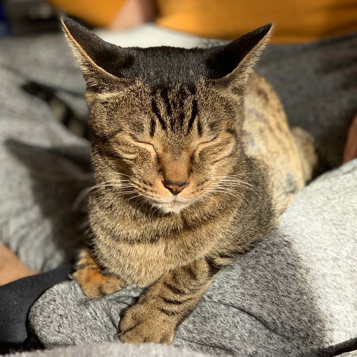 Da6d34db 6fd8 4258 b634 367b59883ed1 1574213887721