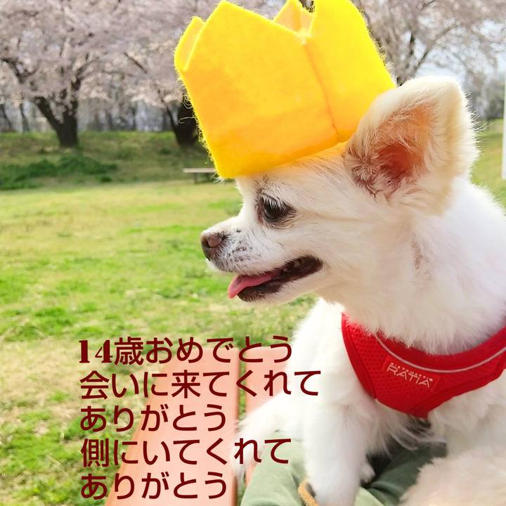 Da6d7119 f49a 4cc3 934b ae3f85f0e1dc 1617289440365