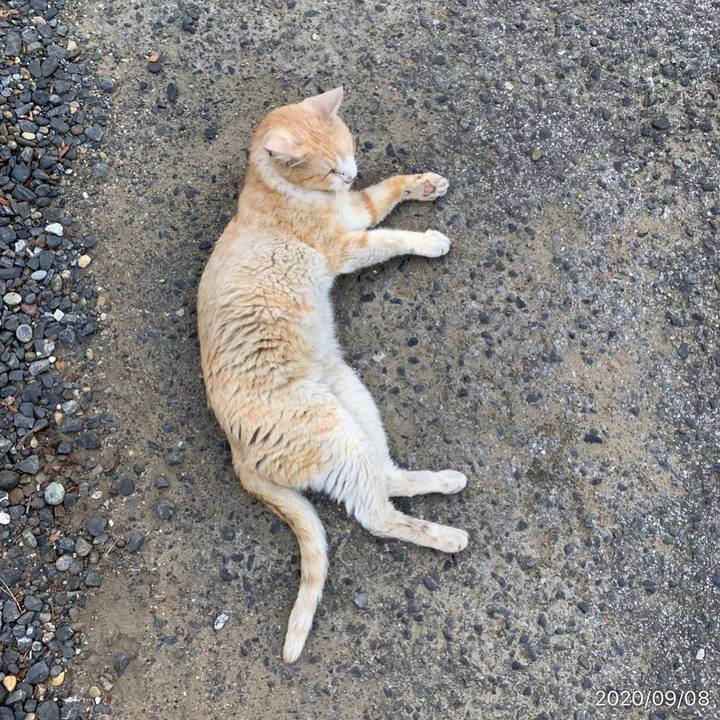 Da6d8376 ba58 4676 be44 3ba82f452b27 1599515555973