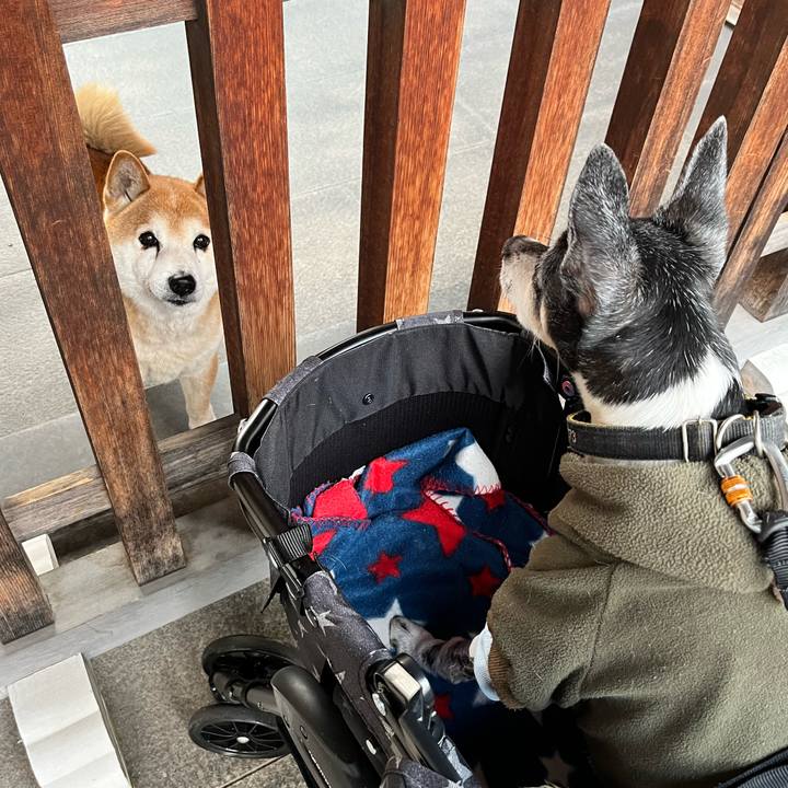 Da6d9bc8 d459 4ec8 8a56 12c1441dd67d 1643448470429